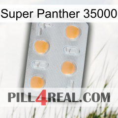 Super Panther 35000 24